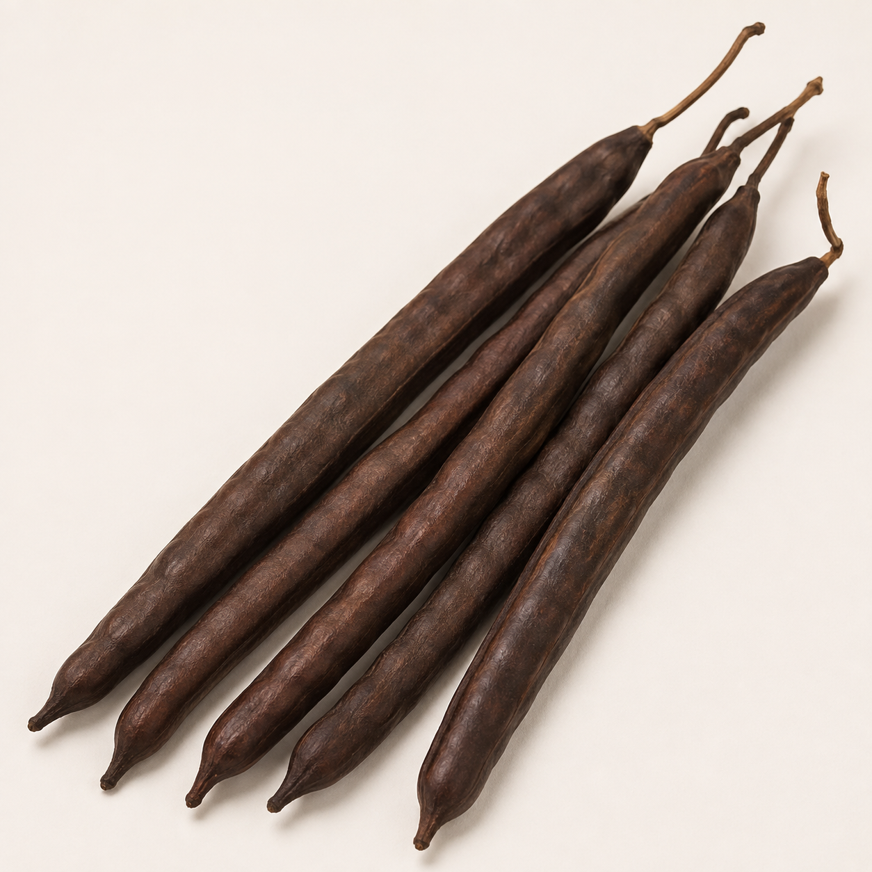 Cassia Fistula Pods
