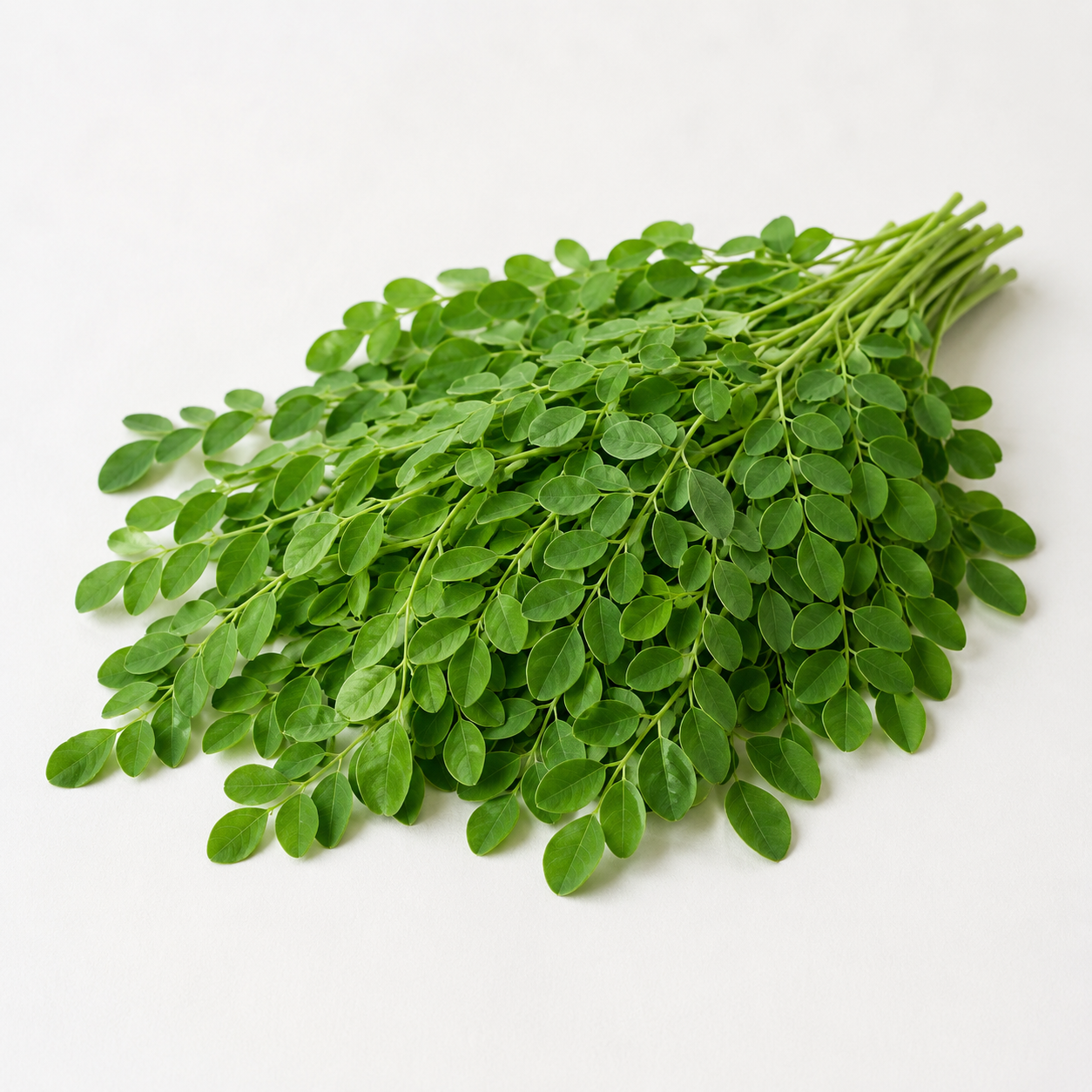 Moringa
