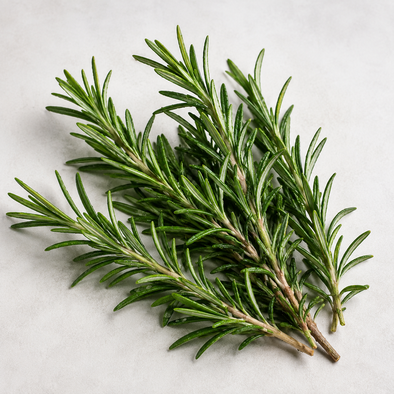 Rosemary